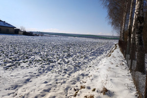 Działka na sprzedaż Piotrków Trybunalski - zdjęcie 3