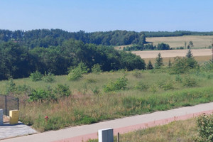 Działka na sprzedaż olsztyński Stawiguda Gryźliny Porzeczkowa - zdjęcie 2