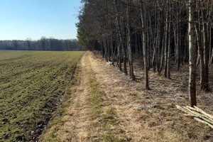 Działka na sprzedaż chełmski Dorohusk Mościska - zdjęcie 1