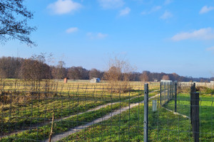 Działka na sprzedaż poddębicki Dalików Wilków - zdjęcie 2