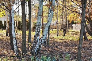 Działka na sprzedaż warszawski zachodni Stare Babice Koczargi Stare Czereśniowa - zdjęcie 1