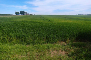 Działka na sprzedaż lubelski Niedrzwica Duża Przerwana - zdjęcie 3