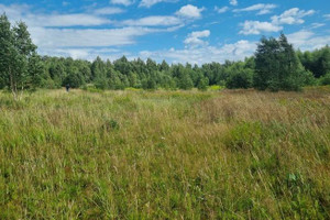 Działka na sprzedaż braniewski Frombork - zdjęcie 1