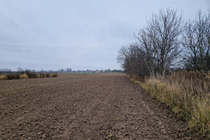 Działka na sprzedaż świdnicki Świdnik aleja Lotników Polskich - zdjęcie 3