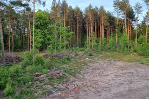 Działka na sprzedaż grodziski Grodzisk Mazowiecki Adamowizna Radziejowicka - zdjęcie 2