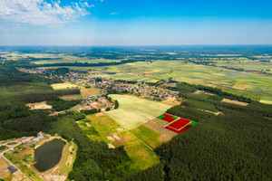 Działka na sprzedaż zielonogórski Czerwieńsk Nietków - zdjęcie 3