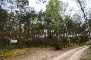 Działka na sprzedaż wołomiński Radzymin Łosie Jeżowa - zdjęcie 2