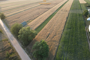 Działka na sprzedaż 29800m2 przysuski Rusinów Wola Gałecka - zdjęcie 2