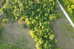 Działka na sprzedaż 2543m2 grójecki Nowe Miasto nad Pilicą Pobiedna - zdjęcie 1