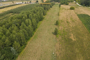 Działka na sprzedaż 9806m2 grójecki Nowe Miasto nad Pilicą Pobiedna - zdjęcie 3