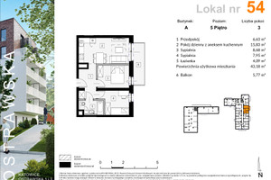 Plan nieruchomości