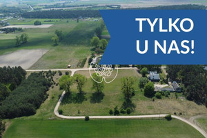 Tarkowo Dolne, działka 3000m2, warunki zabudowy