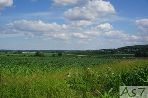 Działka na sprzedaż, 3277 m², Zabierzów Więckowice