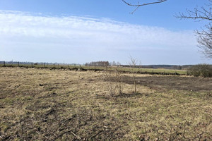 Działka na sprzedaż, 1691 m², Tarnowo Podgórne Rumianek