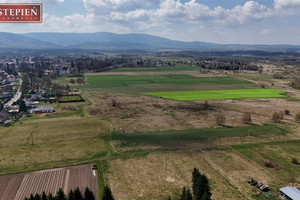 Działka rolno - usługowa w otoczeniu gor - Mirsk