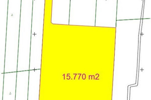 Działka 15 770m2 | przy DK 94