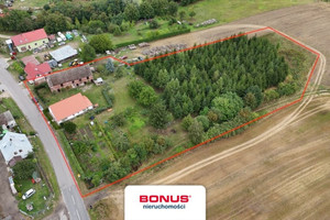 Dom wolnostojący na działce 7900 m2 w Słodkowie.