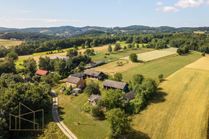 Dom do remontu w cichej, zielonej okolicy