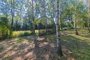 Madajka raj na krańcu świata