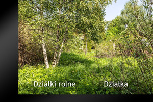Działki rolne