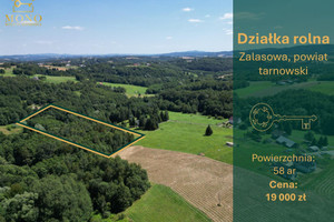 Atrakcyjna działka rolno-leśna 58 ar w super cenie.