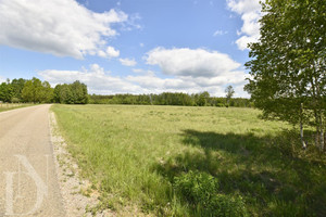 Działka 9661 m² WZ + prąd w realizacji NOWA CENA !