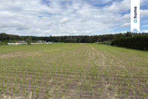 Działka budowlano-rolna 1,05 ha w spokojnej oklicy