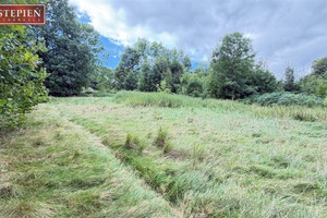 Działka na sprzedaż, 5000 m², Stara Kamienica Chromiec