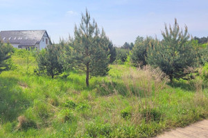 Słoneczna działka w Lubniewicach