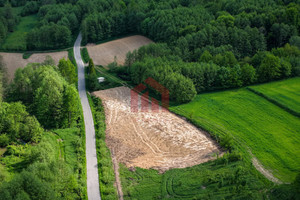 A ile kosztuje wolność? WZ pod rekreacje, las
