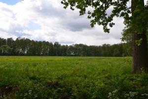 DziaŁka Rolna 8,17 Hektara W ŚWidnicy
