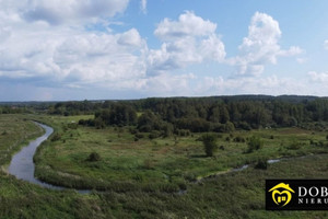 Nieruchomość rekreacyjna 2,3 ha z linią brzegową