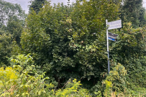 Teren inwestycyjny 3 423 m² (kompleks 4 działek)
