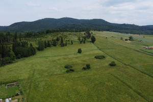Działka budowlana 16000 m2 Witków Gmina Czarny Bór