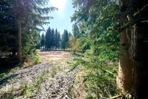 Działki budowlane | po 1500 m²|Zawonia| Media