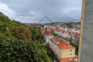 Panoramiczny widok na Stare Miasto i zieleń
