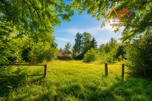 Inwestycja nad jeziorem – glamping, domki 1,66 ha