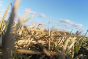 Działka na sprzedaż, 6700 m², Biała Piska Drygały