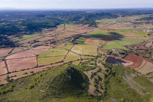 Dom na sprzedaż 800m2 - zdjęcie 3