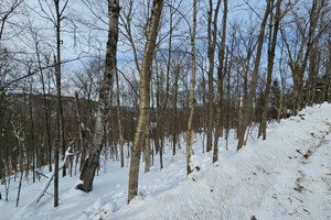 Działka na sprzedaż Rue Paulsen, Sainte-Agathe-des-Monts, QC J8C0X1, CA - zdjęcie 1