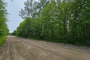 Działka na sprzedaż Rue de Genève, Sainte-Agathe-des-Monts, QC J8C0S2, CA - zdjęcie 3