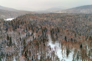 Działka na sprzedaż Ch. de la Vallée, Lac-Beauport, QC G3B1H8, CA - zdjęcie 1