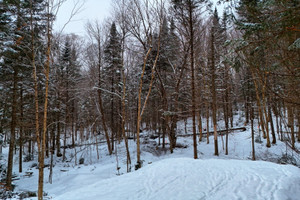 Działka na sprzedaż Ch. de la Vallée, Lac-Beauport, QC G3B1B8, CA - zdjęcie 3