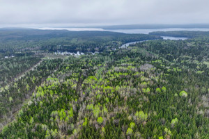 Działka na sprzedaż 8e Rang N., Lambton, QC G0M1H0, CA - zdjęcie 1