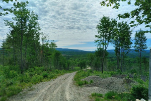 Działka na sprzedaż Rue Principale E., Sainte-Euphémie-sur-Rivière-du-Sud, QC G0R2Z0, CA - zdjęcie 1