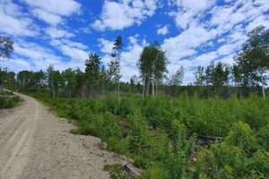 Działka na sprzedaż Rue Principale E., Sainte-Euphémie-sur-Rivière-du-Sud, QC G0R2Z0, CA - zdjęcie 3