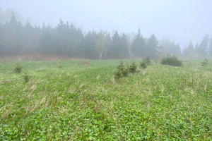 Działka na sprzedaż Route 132 O., Grosses-Roches, QC G0J1K0, CA - zdjęcie 3