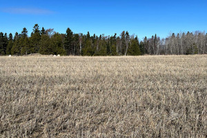 Działka na sprzedaż Route 132, Grand-Métis, QC G0J1Z0, CA - zdjęcie 1