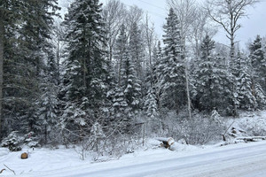 Działka na sprzedaż Ch. de la Martine, Petite-Rivière-Saint-François, QC G0A2L0, CA - zdjęcie 1