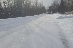 Działka na sprzedaż Rue de l'Amont, Saint-Ferréol-les-Neiges, QC G0A3R0, CA - zdjęcie 3